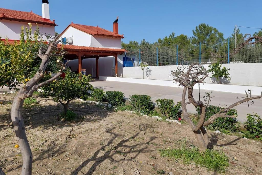 Vila Aleyna House Lindos Area Exteriér fotografie